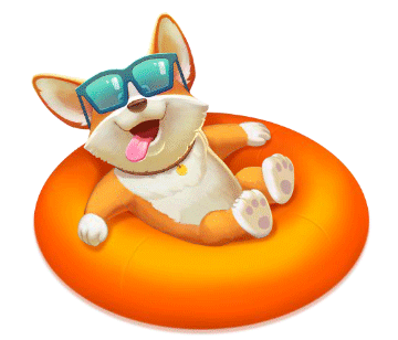 corgy v1 optim